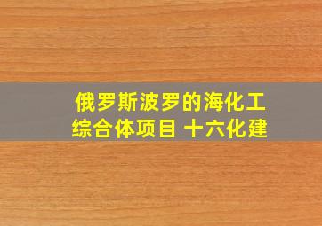 俄罗斯波罗的海化工综合体项目 十六化建